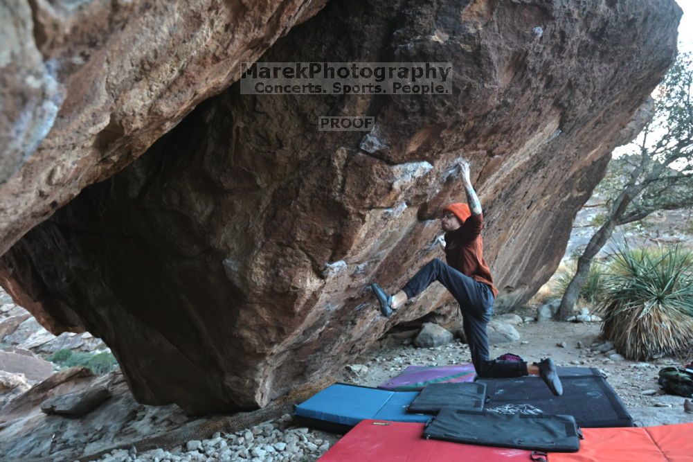 

Filename: SRM_20211210_1646024.jpg
Aperture: f/4.0
Shutter Speed: 1/500
Body: Canon EOS R6
Lens: Canon EF 16-35mm f/2.8 L