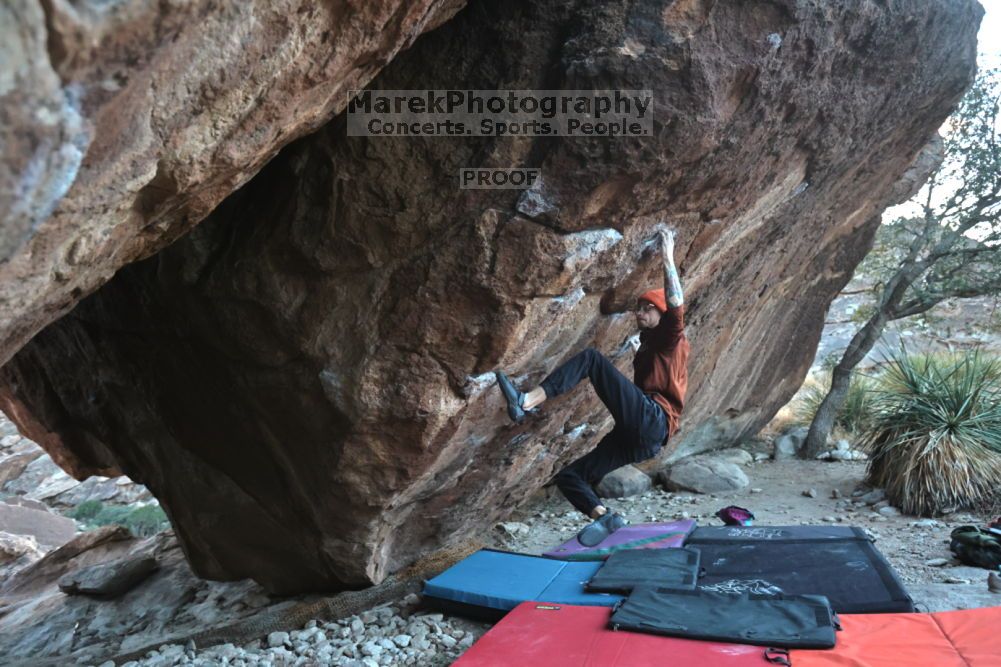 

Filename: SRM_20211210_1646026.jpg
Aperture: f/4.0
Shutter Speed: 1/500
Body: Canon EOS R6
Lens: Canon EF 16-35mm f/2.8 L