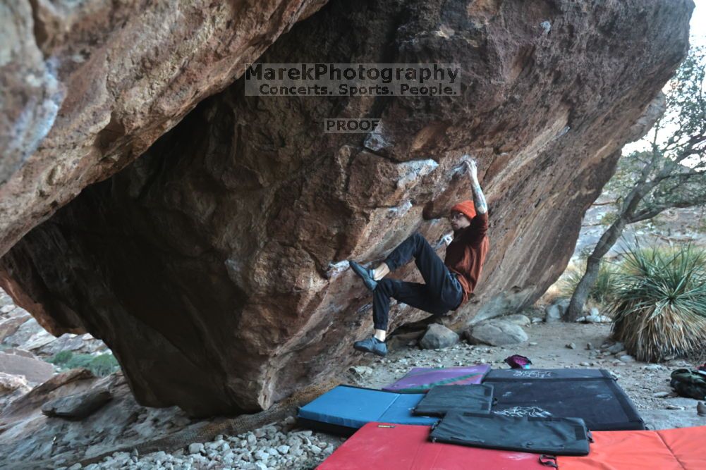 

Filename: SRM_20211210_1646031.jpg
Aperture: f/4.0
Shutter Speed: 1/500
Body: Canon EOS R6
Lens: Canon EF 16-35mm f/2.8 L