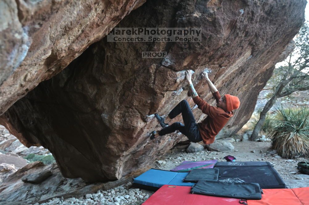 

Filename: SRM_20211210_1646080.jpg
Aperture: f/4.0
Shutter Speed: 1/500
Body: Canon EOS R6
Lens: Canon EF 16-35mm f/2.8 L