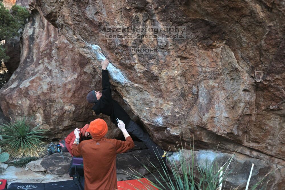 

Filename: SRM_20211210_1655370.jpg
Aperture: f/4.0
Shutter Speed: 1/500
Body: Canon EOS R6
Lens: Canon EF 16-35mm f/2.8 L