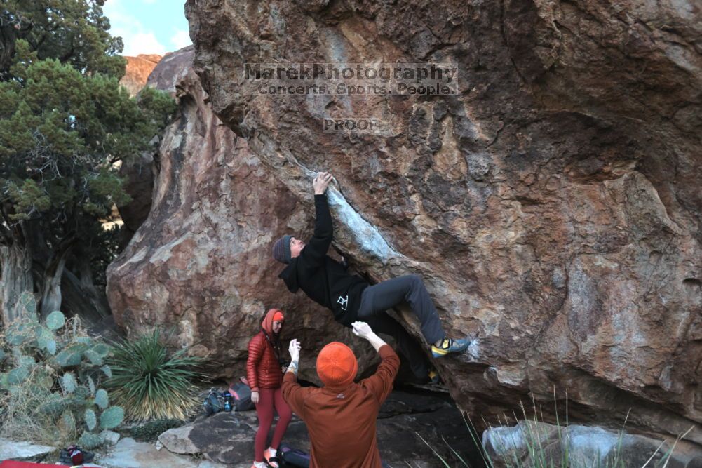 

Filename: SRM_20211210_1655460.jpg
Aperture: f/4.0
Shutter Speed: 1/500
Body: Canon EOS R6
Lens: Canon EF 16-35mm f/2.8 L