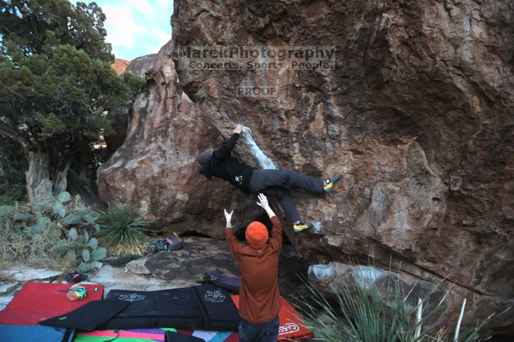 

Filename: SRM_20211210_1655560.jpg
Aperture: f/4.0
Shutter Speed: 1/500
Body: Canon EOS R6
Lens: Canon EF 16-35mm f/2.8 L