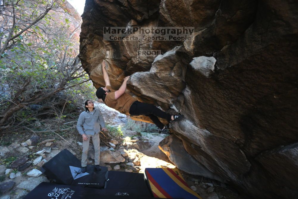 

Filename: SRM_20211211_1015540.jpg
Aperture: f/4.0
Shutter Speed: 1/500
Body: Canon EOS R6
Lens: Canon EF 16-35mm f/2.8 L