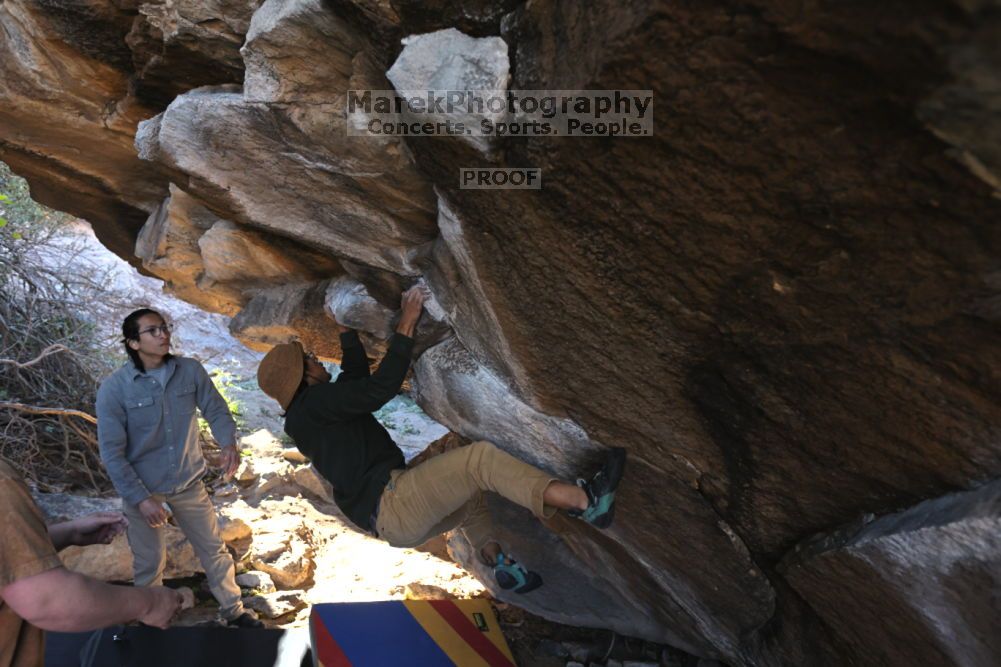 

Filename: SRM_20211211_1018040.jpg
Aperture: f/4.0
Shutter Speed: 1/500
Body: Canon EOS R6
Lens: Canon EF 16-35mm f/2.8 L