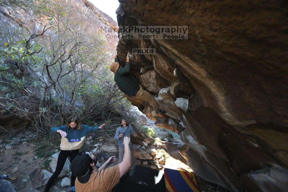 

Filename: SRM_20211211_1018410.jpg
Aperture: f/4.0
Shutter Speed: 1/500
Body: Canon EOS R6
Lens: Canon EF 16-35mm f/2.8 L