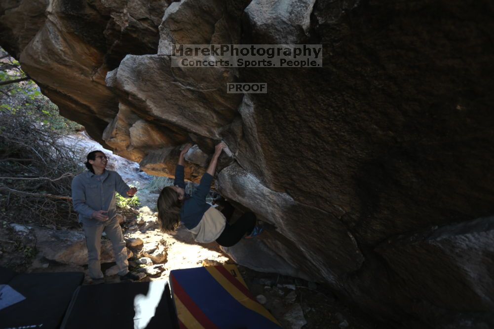 

Filename: SRM_20211211_1020080.jpg
Aperture: f/4.0
Shutter Speed: 1/500
Body: Canon EOS R6
Lens: Canon EF 16-35mm f/2.8 L