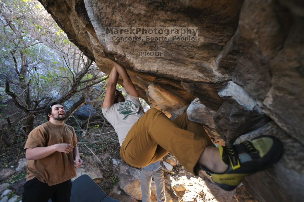 

Filename: SRM_20211211_1025520.jpg
Aperture: f/4.0
Shutter Speed: 1/500
Body: Canon EOS R6
Lens: Canon EF 16-35mm f/2.8 L