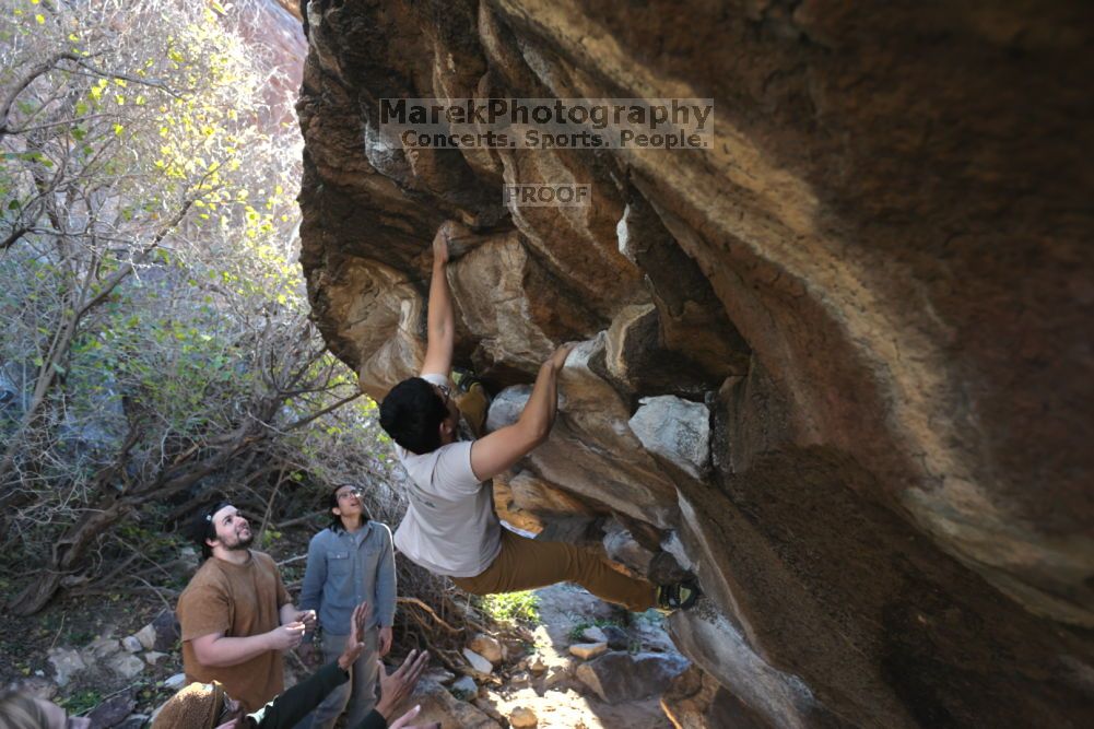 

Filename: SRM_20211211_1026240.jpg
Aperture: f/4.0
Shutter Speed: 1/500
Body: Canon EOS R6
Lens: Canon EF 16-35mm f/2.8 L