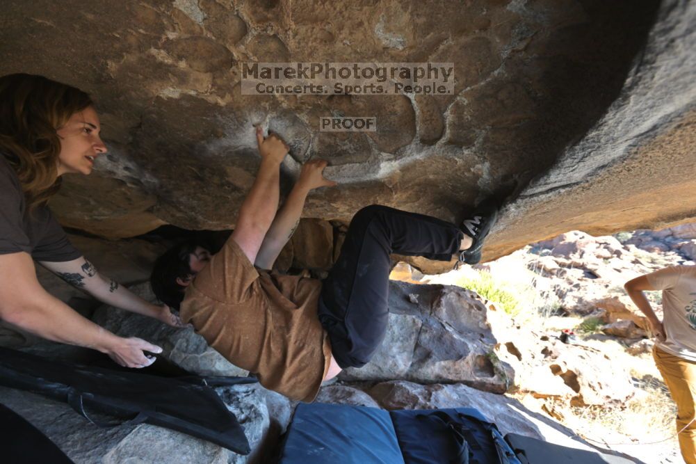 

Filename: SRM_20211211_1311420.jpg
Aperture: f/5.6
Shutter Speed: 1/400
Body: Canon EOS R6
Lens: Canon EF 16-35mm f/2.8 L