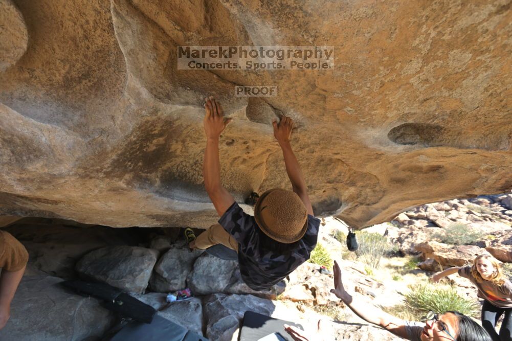 

Filename: SRM_20211211_1326220.jpg
Aperture: f/5.6
Shutter Speed: 1/400
Body: Canon EOS R6
Lens: Canon EF 16-35mm f/2.8 L