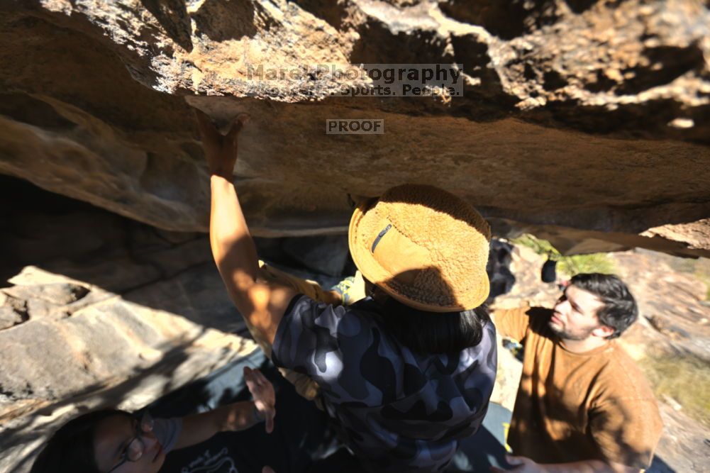 

Filename: SRM_20211211_1356530.jpg
Aperture: f/4.0
Shutter Speed: 1/400
Body: Canon EOS R6
Lens: Canon EF 16-35mm f/2.8 L