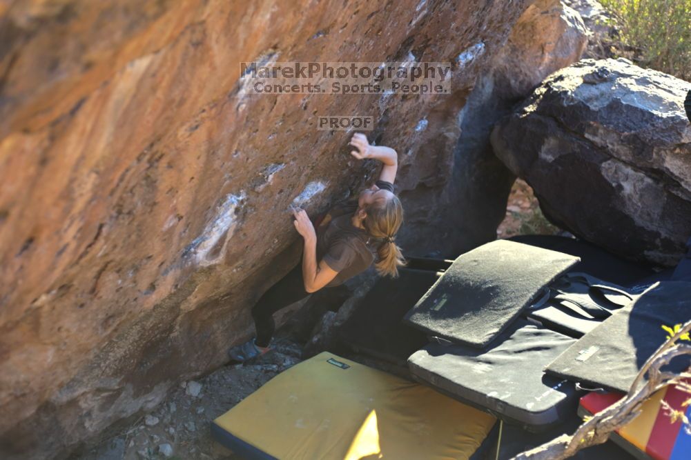 

Filename: SRM_20211211_1617420.jpg
Aperture: f/2.8
Shutter Speed: 1/500
Body: Canon EOS R6
Lens: Canon EF 50mm f/1.8 II