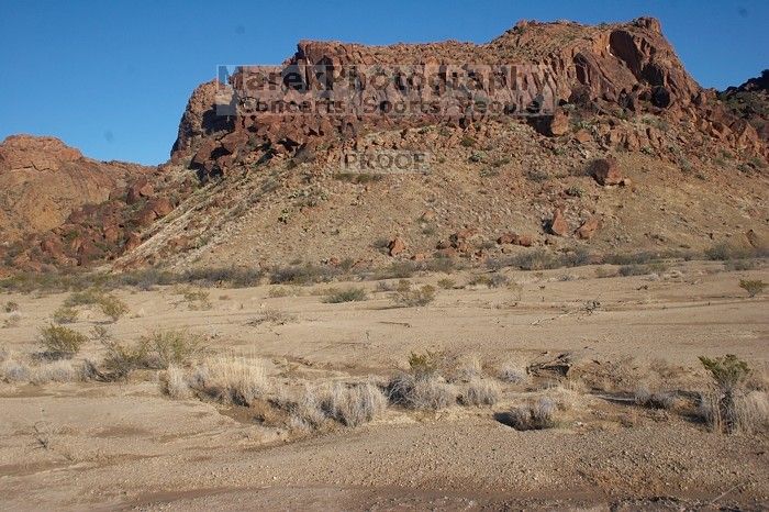 Camping and hiking in Big Bend National Park, west Texas, New Years 2007.
Filename: SRM_20070104_1637367.jpg
Aperture: f/10.0
Shutter Speed: 1/640
Body: Canon EOS 20D
Lens: Canon EF-S 18-55mm f/3.5-5.6