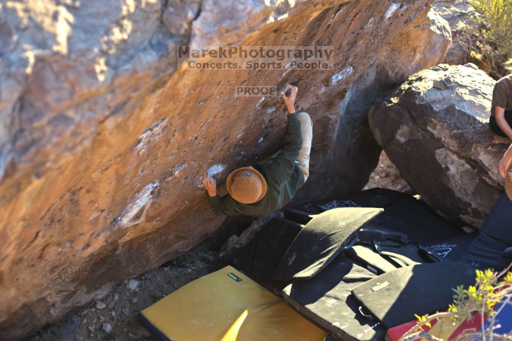 

Filename: SRM_20211211_1621410.jpg
Aperture: f/2.8
Shutter Speed: 1/500
Body: Canon EOS R6
Lens: Canon EF 50mm f/1.8 II