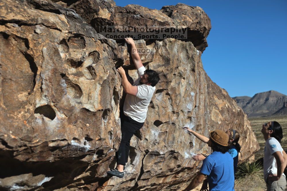 

Filename: SRM_20211212_0912550.jpg
Aperture: f/4.0
Shutter Speed: 1/4000
Body: Canon EOS R6
Lens: Canon EF 50mm f/1.8 II