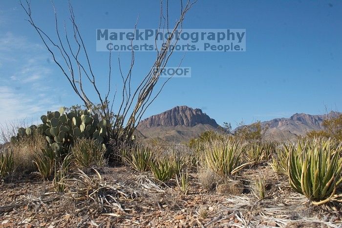 Camping and hiking in Big Bend National Park, west Texas, New Years 2007.

Filename: SRM_20070102_1112381.jpg
Aperture: f/14.0
Shutter Speed: 1/160
Body: Canon EOS 20D
Lens: Canon EF-S 18-55mm f/3.5-5.6