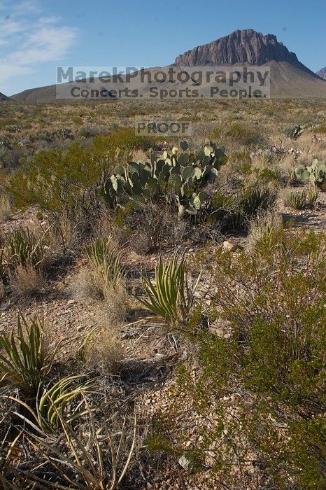 Camping and hiking in Big Bend National Park, west Texas, New Years 2007.
Filename: SRM_20070102_1115365.jpg
Aperture: f/14.0
Shutter Speed: 1/160
Body: Canon EOS 20D
Lens: Canon EF-S 18-55mm f/3.5-5.6