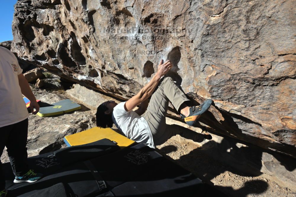 

Filename: SRM_20211212_1004280.jpg
Aperture: f/5.6
Shutter Speed: 1/1000
Body: Canon EOS R6
Lens: Canon EF 16-35mm f/2.8 L