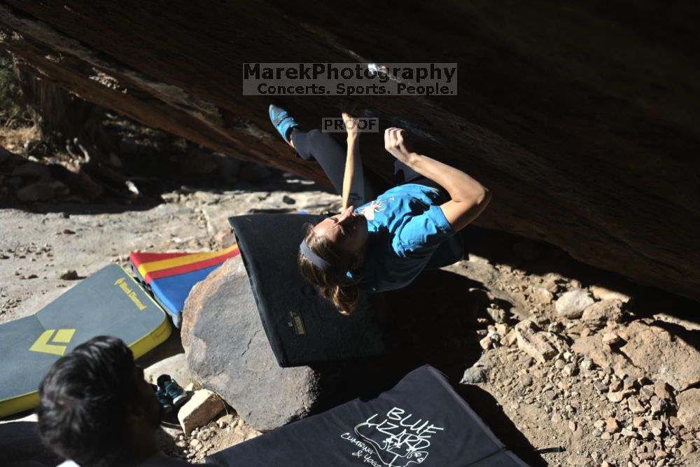 

Filename: SRM_20211212_1044100.jpg
Aperture: f/4.0
Shutter Speed: 1/1000
Body: Canon EOS R6
Lens: Canon EF 50mm f/1.8 II