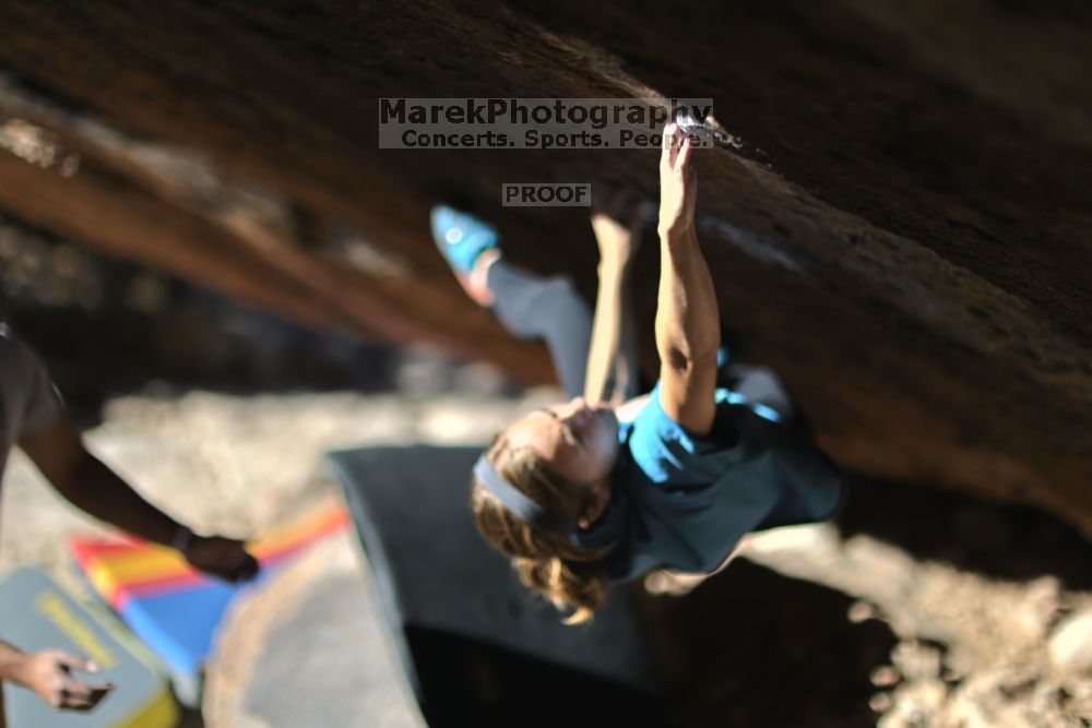 

Filename: SRM_20211212_1046270.jpg
Aperture: f/1.2
Shutter Speed: 1/8000
Body: Canon EOS R6
Lens: Canon EF 85mm f/1.2 L II