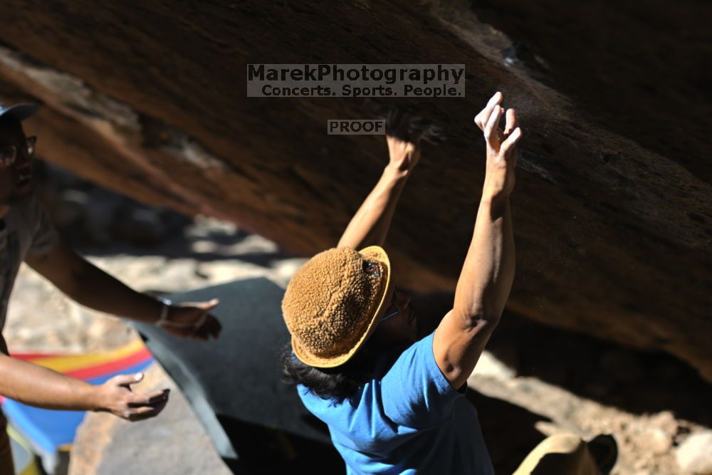 

Filename: SRM_20211212_1048391.jpg
Aperture: f/2.8
Shutter Speed: 1/2500
Body: Canon EOS R6
Lens: Canon EF 85mm f/1.2 L II