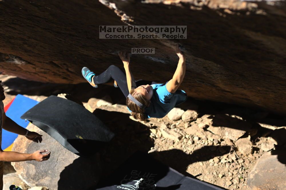 

Filename: SRM_20211212_1050420.jpg
Aperture: f/2.8
Shutter Speed: 1/2500
Body: Canon EOS R6
Lens: Canon EF 85mm f/1.2 L II