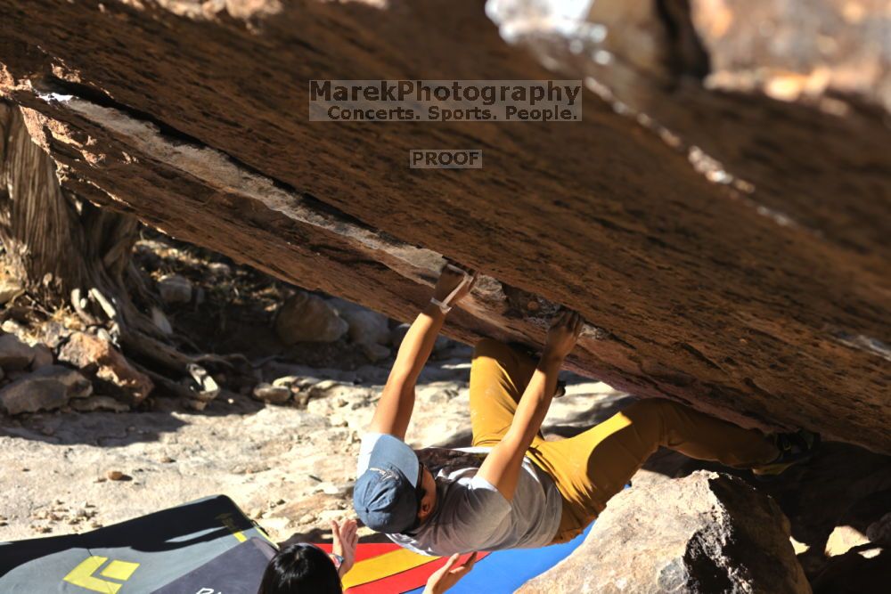 

Filename: SRM_20211212_1102260.jpg
Aperture: f/4.0
Shutter Speed: 1/2500
Body: Canon EOS R6
Lens: Canon EF 85mm f/1.2 L II