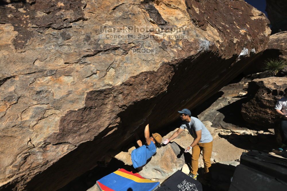 

Filename: SRM_20211212_1119360.jpg
Aperture: f/5.6
Shutter Speed: 1/1000
Body: Canon EOS R6
Lens: Canon EF 16-35mm f/2.8 L