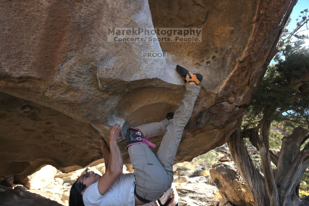 

Filename: SRM_20211212_1157330.jpg
Aperture: f/5.6
Shutter Speed: 1/500
Body: Canon EOS R6
Lens: Canon EF 16-35mm f/2.8 L