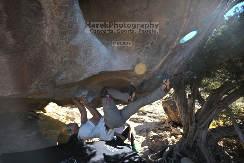 

Filename: SRM_20211212_1159260.jpg
Aperture: f/5.6
Shutter Speed: 1/500
Body: Canon EOS R6
Lens: Canon EF 16-35mm f/2.8 L