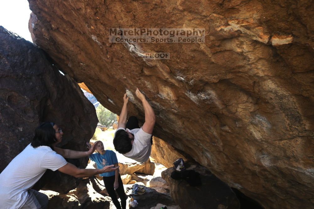 

Filename: SRM_20211212_1243520.jpg
Aperture: f/5.6
Shutter Speed: 1/400
Body: Canon EOS R6
Lens: Canon EF 16-35mm f/2.8 L