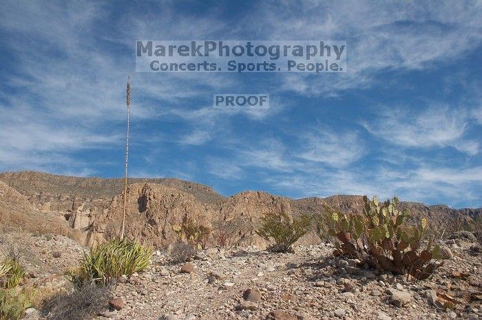 Camping and hiking in Big Bend National Park, west Texas, New Years 2007.

Filename: SRM_20070102_1409227.jpg
Aperture: f/10.0
Shutter Speed: 1/200
Body: Canon EOS 20D
Lens: Canon EF-S 18-55mm f/3.5-5.6