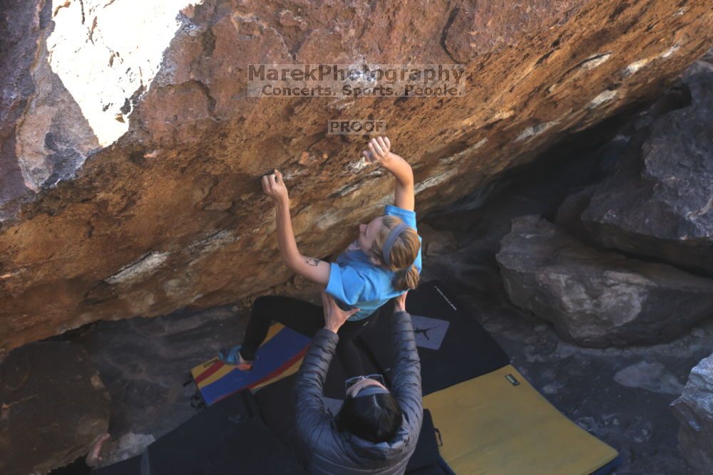 

Filename: SRM_20211212_1309522.jpg
Aperture: f/5.6
Shutter Speed: 1/400
Body: Canon EOS R6
Lens: Canon EF 16-35mm f/2.8 L