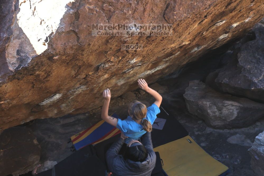 

Filename: SRM_20211212_1309530.jpg
Aperture: f/5.6
Shutter Speed: 1/400
Body: Canon EOS R6
Lens: Canon EF 16-35mm f/2.8 L