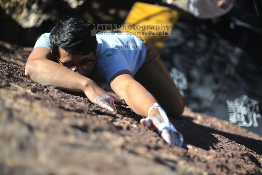 

Filename: SRM_20211212_1340070.jpg
Aperture: f/2.0
Shutter Speed: 1/4000
Body: Canon EOS R6
Lens: Canon EF 50mm f/1.8 II