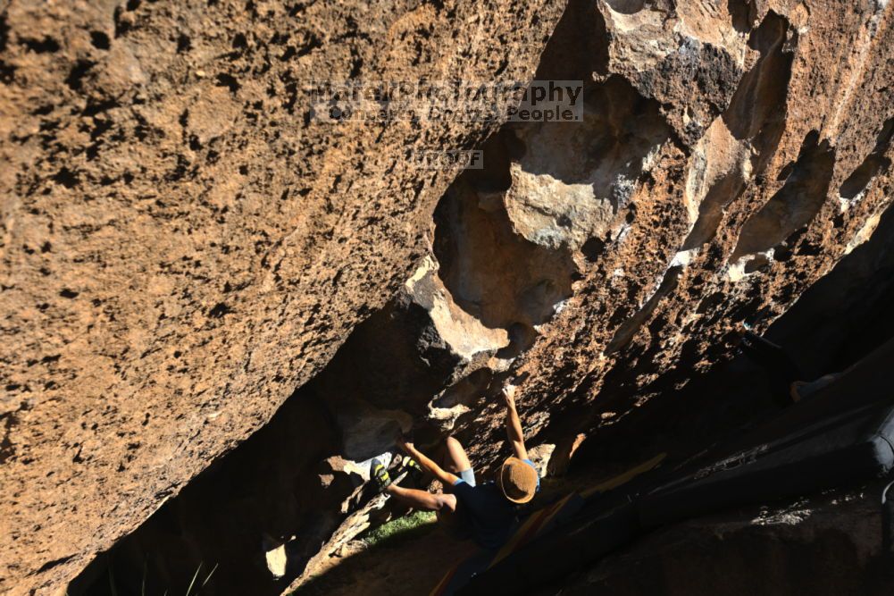 

Filename: SRM_20211212_1407130.jpg
Aperture: f/5.6
Shutter Speed: 1/1000
Body: Canon EOS R6
Lens: Canon EF 16-35mm f/2.8 L