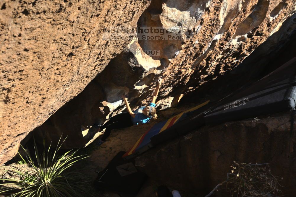 

Filename: SRM_20211212_1409470.jpg
Aperture: f/5.6
Shutter Speed: 1/1000
Body: Canon EOS R6
Lens: Canon EF 16-35mm f/2.8 L