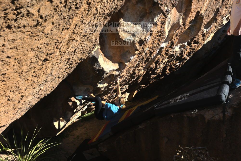 

Filename: SRM_20211212_1409490.jpg
Aperture: f/5.6
Shutter Speed: 1/1000
Body: Canon EOS R6
Lens: Canon EF 16-35mm f/2.8 L