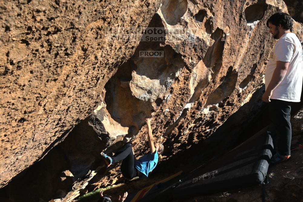 

Filename: SRM_20211212_1410060.jpg
Aperture: f/5.6
Shutter Speed: 1/1000
Body: Canon EOS R6
Lens: Canon EF 16-35mm f/2.8 L