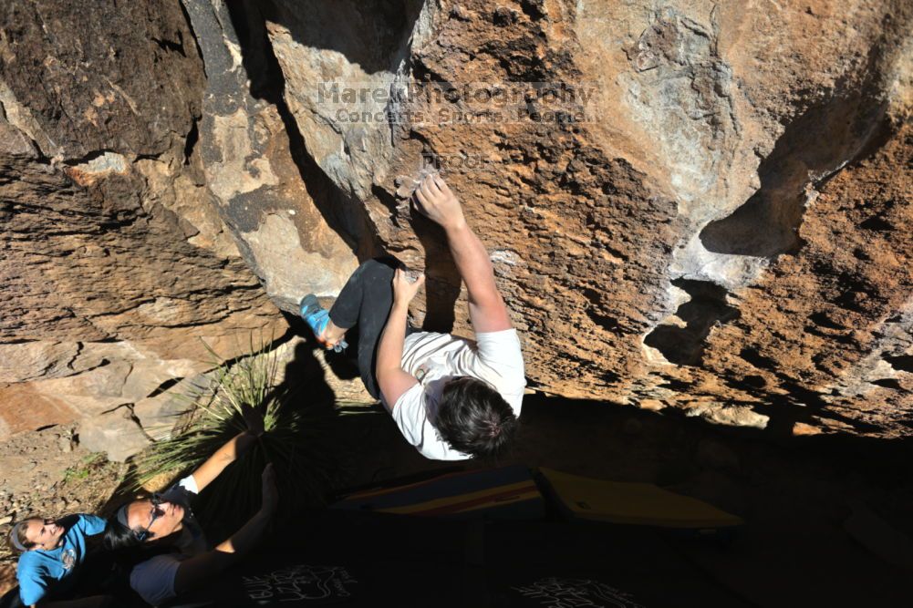 

Filename: SRM_20211212_1414540.jpg
Aperture: f/5.6
Shutter Speed: 1/1000
Body: Canon EOS R6
Lens: Canon EF 16-35mm f/2.8 L