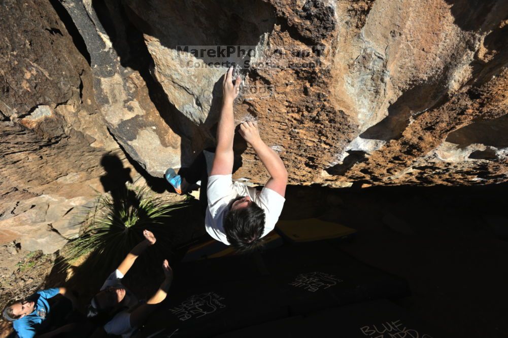 

Filename: SRM_20211212_1415000.jpg
Aperture: f/5.6
Shutter Speed: 1/1000
Body: Canon EOS R6
Lens: Canon EF 16-35mm f/2.8 L