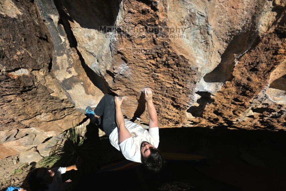 

Filename: SRM_20211212_1424030.jpg
Aperture: f/5.6
Shutter Speed: 1/1000
Body: Canon EOS R6
Lens: Canon EF 16-35mm f/2.8 L