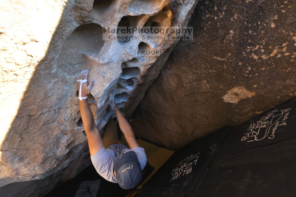 

Filename: SRM_20211212_1445550.jpg
Aperture: f/4.0
Shutter Speed: 1/400
Body: Canon EOS R6
Lens: Canon EF 16-35mm f/2.8 L