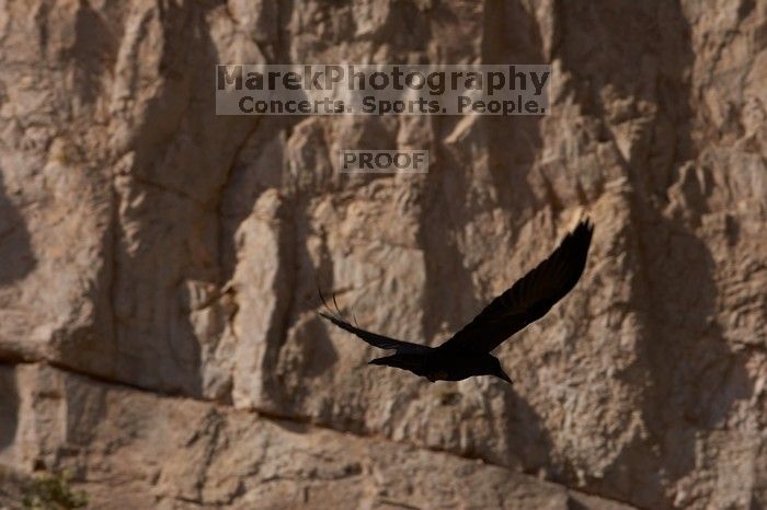 Camping and hiking in Big Bend National Park, west Texas, New Years 2007.

Filename: SRM_20070102_1436005.jpg
Aperture: f/11.0
Shutter Speed: 1/640
Body: Canon EOS-1D Mark II
Lens: Canon EF 80-200mm f/2.8 L