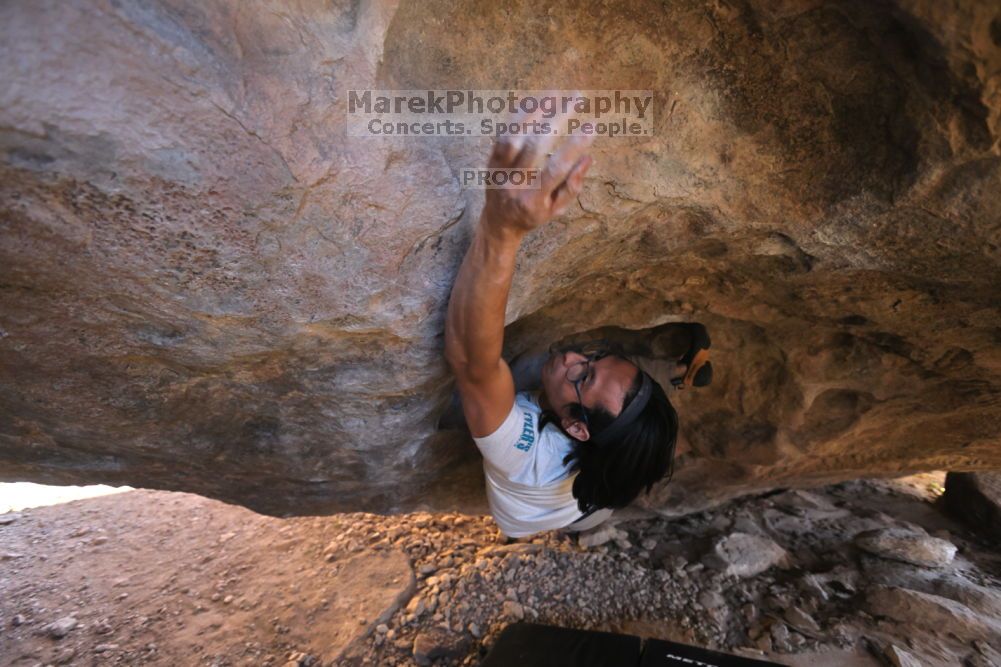 

Filename: SRM_20211212_1520000.jpg
Aperture: f/4.0
Shutter Speed: 1/400
Body: Canon EOS R6
Lens: Canon EF 16-35mm f/2.8 L