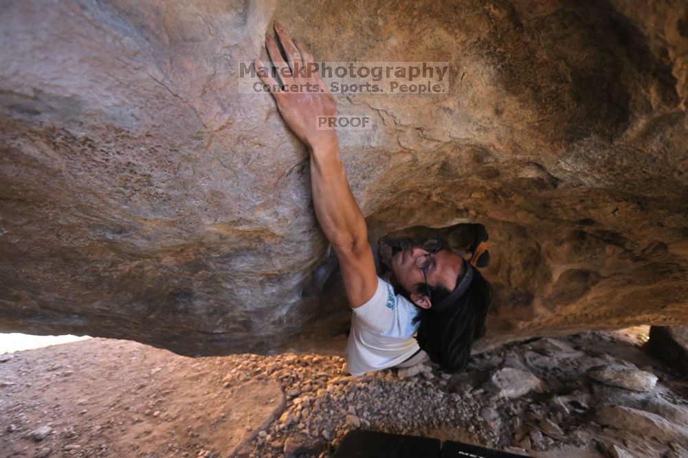 

Filename: SRM_20211212_1520001.jpg
Aperture: f/4.0
Shutter Speed: 1/400
Body: Canon EOS R6
Lens: Canon EF 16-35mm f/2.8 L