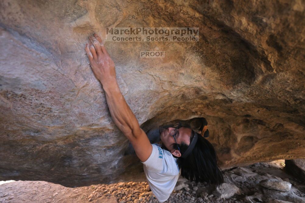 

Filename: SRM_20211212_1520042.jpg
Aperture: f/4.0
Shutter Speed: 1/400
Body: Canon EOS R6
Lens: Canon EF 16-35mm f/2.8 L