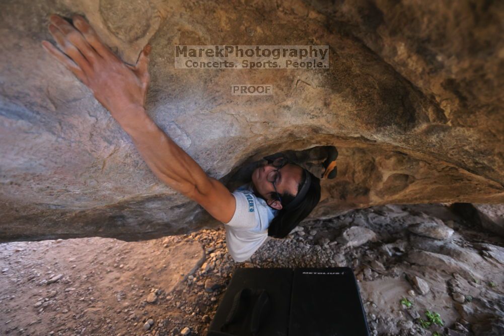 

Filename: SRM_20211212_1523280.jpg
Aperture: f/4.0
Shutter Speed: 1/400
Body: Canon EOS R6
Lens: Canon EF 16-35mm f/2.8 L