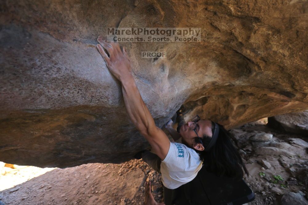 

Filename: SRM_20211212_1533250.jpg
Aperture: f/4.0
Shutter Speed: 1/400
Body: Canon EOS R6
Lens: Canon EF 16-35mm f/2.8 L